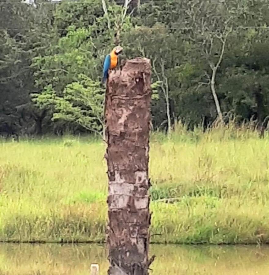 Vila Reserva Jasmim Manga Pirenópolis Exteriér fotografie